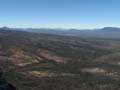 Burnt Grampians Forest